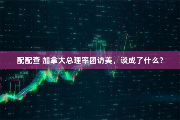 配配查 加拿大总理率团访美，谈成了什么？
