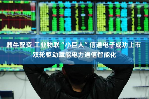鼎牛配资 工业物联“小巨人”信通电子成功上市 双轮驱动赋能电力通信智能化