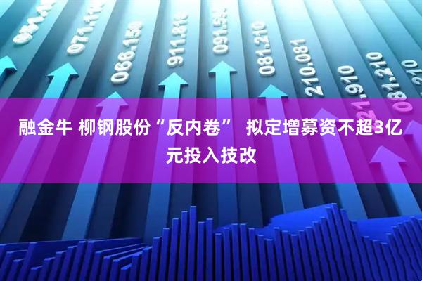 融金牛 柳钢股份“反内卷”  拟定增募资不超3亿元投入技改