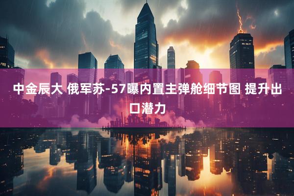 中金辰大 俄军苏-57曝内置主弹舱细节图 提升出口潜力