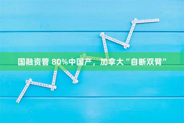 国融资管 80%中国产，加拿大“自断双臂”