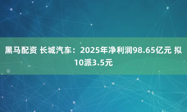 黑马配资 长城汽车：2025年净利润98.65亿元 拟10派3.5元