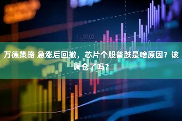 万德策略 急涨后回撤,芯片个股普跌是啥原因?该调仓了吗?