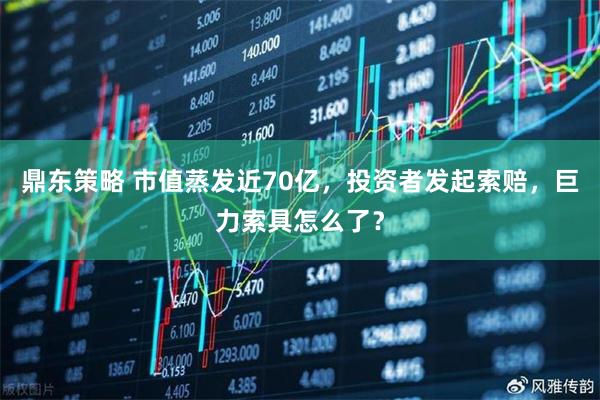 鼎东策略 市值蒸发近70亿，投资者发起索赔，巨力索具怎么了？