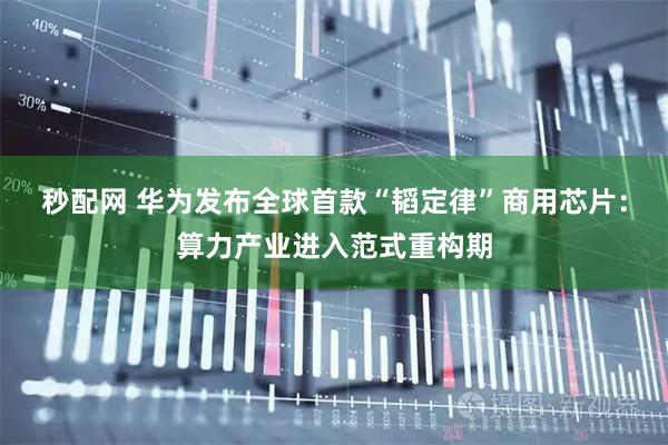 秒配网 华为发布全球首款“韬定律”商用芯片：算力产业进入范式重构期